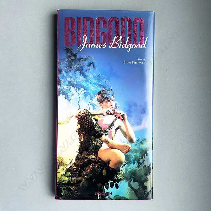 BRUCE BENDERSON: JAMES BIDGOOD Image 1++